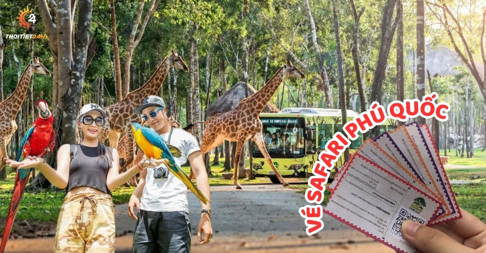  Thông tin vé Safari Phú Quốc